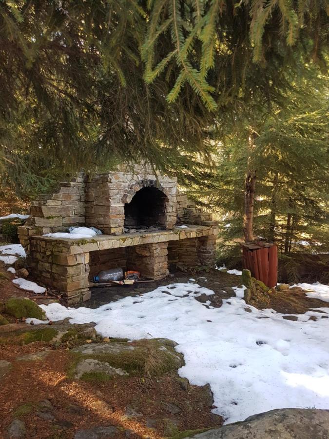 “Family Аpart - Смолянски Езера“ Smolyan Exterior foto