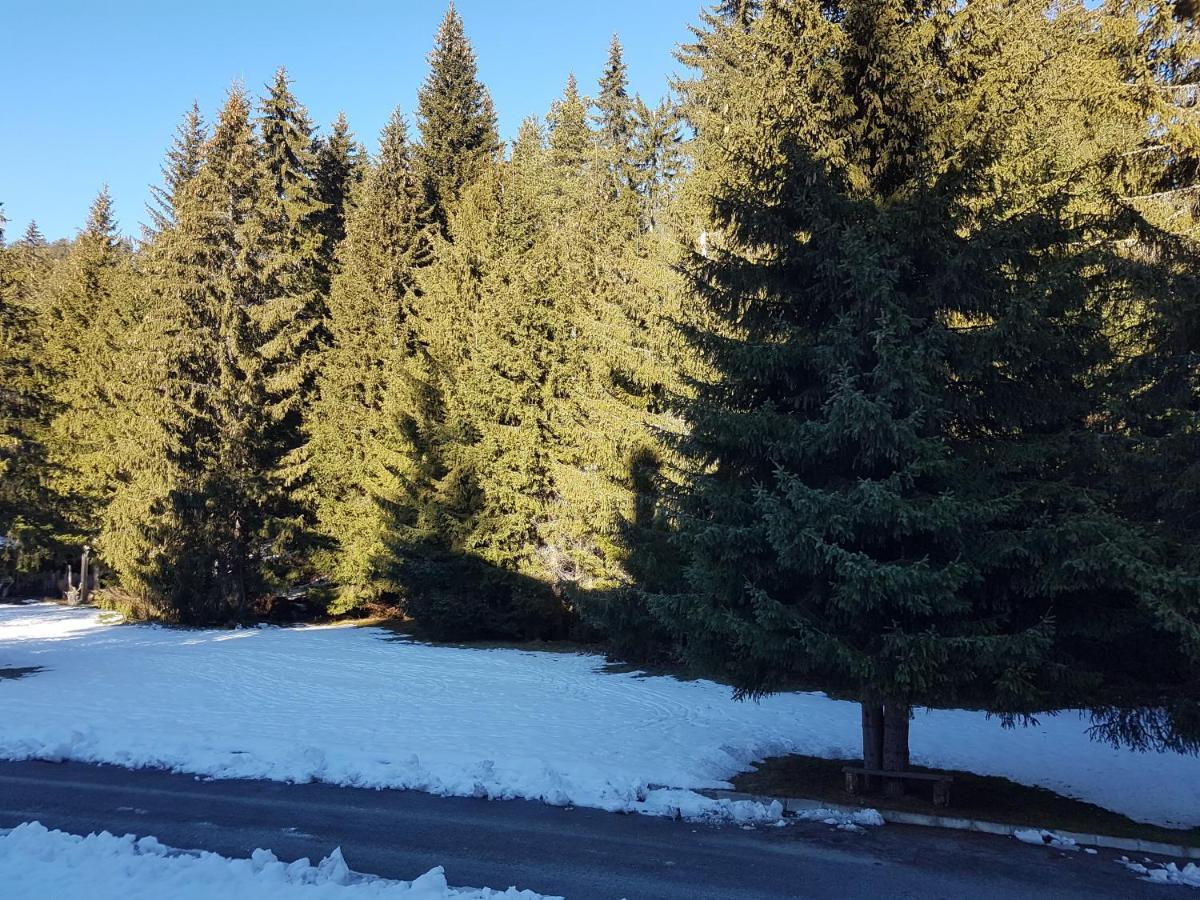 “Family Аpart - Смолянски Езера“ Smolyan Exterior foto