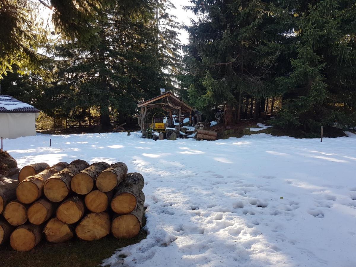 “Family Аpart - Смолянски Езера“ Smolyan Exterior foto