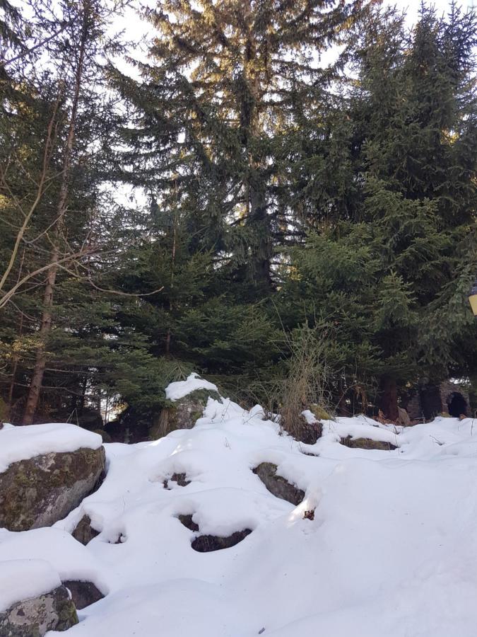 “Family Аpart - Смолянски Езера“ Smolyan Exterior foto